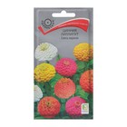 Семена цветов Цинния лиллипут "Смесь окрасок" 0,4 г - Фото 1