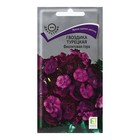 Семена цветов Гвоздика Турецкая "Фиолетовая гора" 0,25 г - фото 11898097