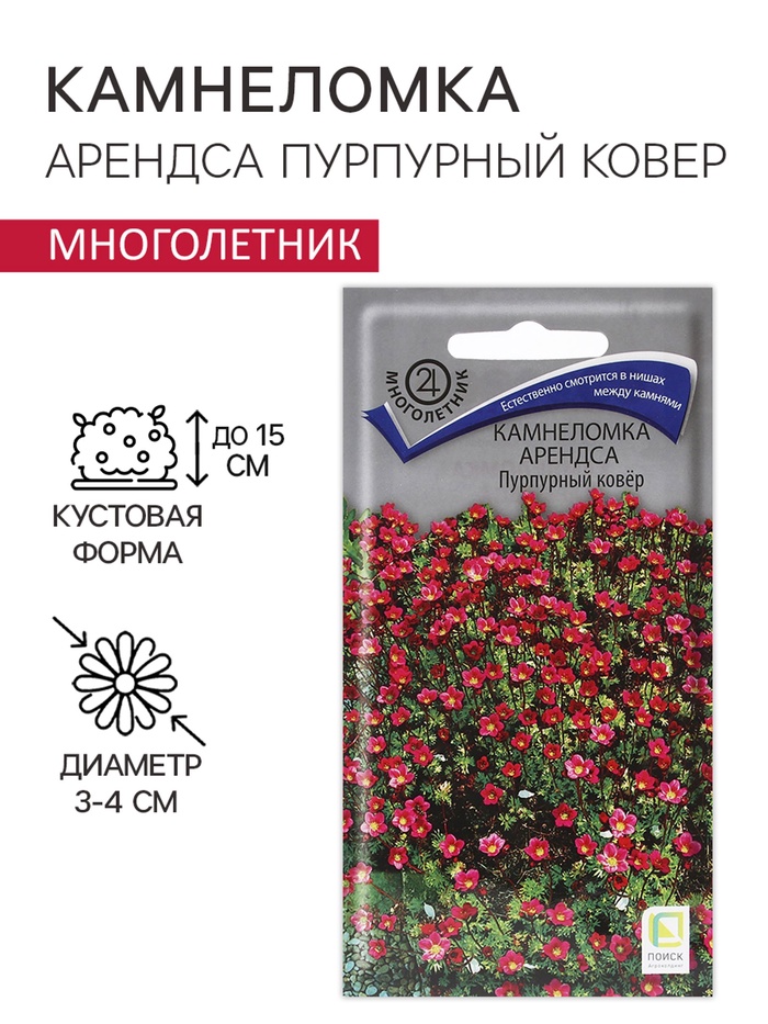 Семена цветов Камнеломка "Арендса Пурпурный ковер" 0,01 г - Фото 1