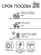 Семена цветов Камнеломка "Арендса Пурпурный ковер" 0,01 г - Фото 2