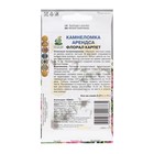 Семена цветов Камнеломка «Арендса Флорал карпет» 0.01 г, «Поиск» - Фото 2