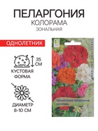 Семена цветов Пеларгония зональная "Колорама" 0,05 г - Фото 1