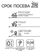 Семена цветов Пеларгония зональная "Колорама" 0,05 г - Фото 2