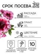 Семена цветов Петуния превосходнейшая «Розовая» 10 шт. - Фото 2