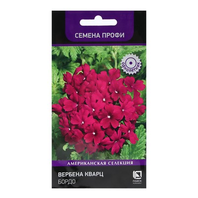 Семена цветов Вербена «Кварц Бордо» 10 шт.