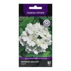 Семена цветов Вербена "Обсешн Вайт" 10 шт - Фото 1