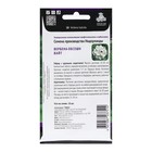 Семена цветов Вербена "Обсешн Вайт" 10 шт - Фото 2