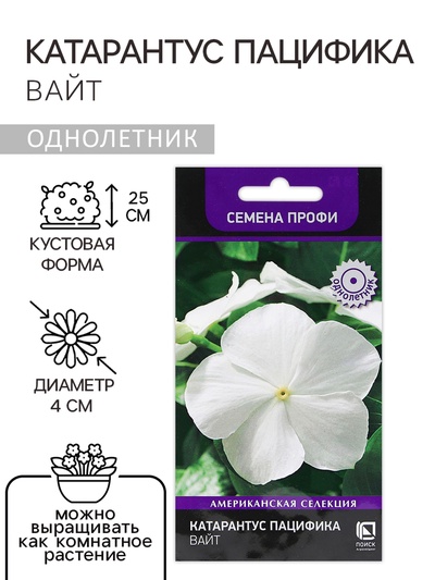 Семена цветов Катарантус Пацифика "Вайт" 10 шт