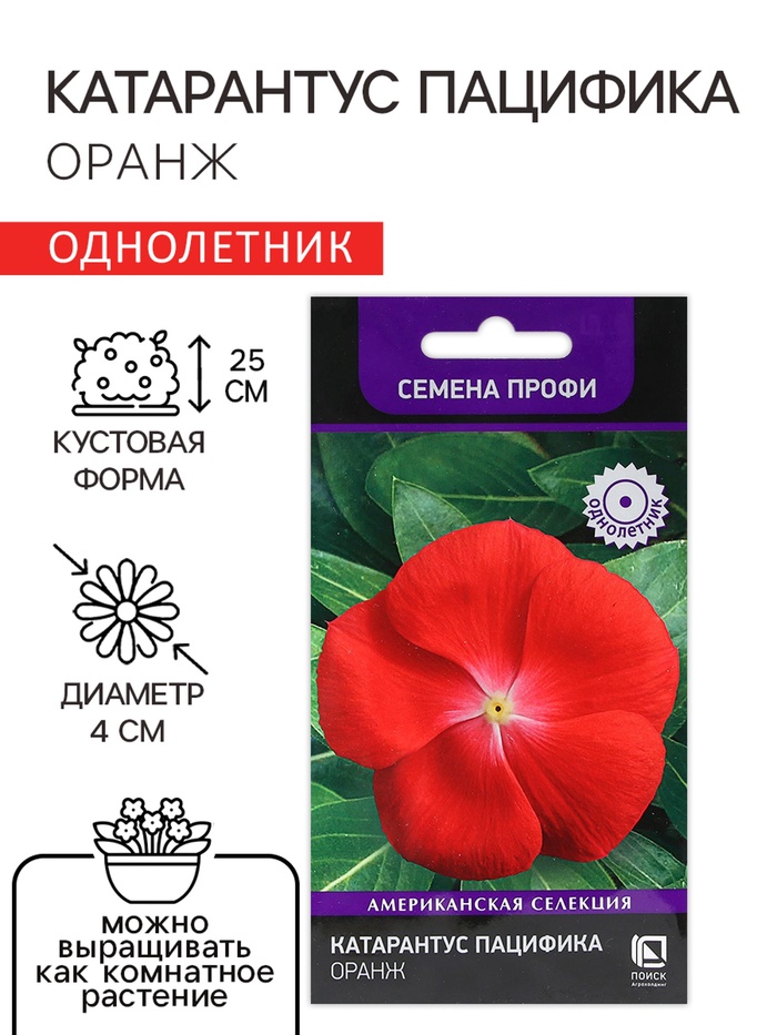 Семена цветов Катарантус Пацифика "Оранж" 10 шт - Фото 1