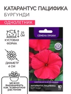 Семена цветов Катарантус Пацифика "Бургунди" 10 шт - Фото 1
