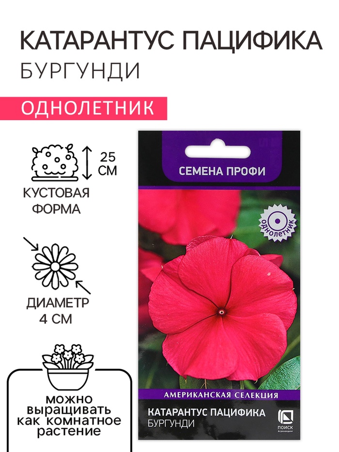 Семена цветов Катарантус Пацифика "Бургунди" 10 шт - Фото 1