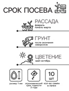 Семена цветов Катарантус Пацифика "Бургунди" 10 шт - Фото 2