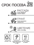 Семена цветов Катарантус Пацифика "Полька Дот" 10 шт - Фото 2