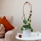 Дуга для подвязки растений, 60 × 10 × 1 см, бамбук, Greengo - Фото 2