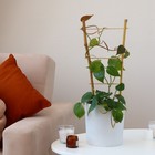 Шпалера, 45 × 20 × 1 см, бамбук, «Одинарная», Greengo - Фото 3