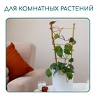 Шпалера, 85×31×1 см, бамбук, «Одинарная», Greengo - Фото 2