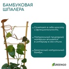 Шпалера, 85×31×1 см, бамбук, «Одинарная», Greengo - Фото 3