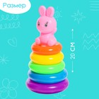 Пирамидка «Зайка», 5 колец, цвета МИКС - фото 22016793
