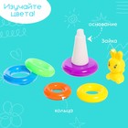 Пирамидка «Зайка», 5 колец, цвета МИКС - фото 22016794