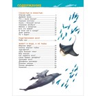 Акулы, киты и дельфины. Клюшник Л.В. - Фото 3