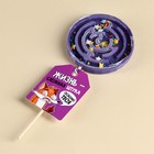 Леденец «Жизнь сложная», лабиринт, вкус виноград, 80 г. - фото 22017274