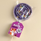 Леденец «Жизнь сложная», лабиринт, вкус виноград, 80 г. - фото 22017276