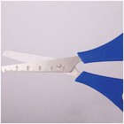 Ножницы детские ArtSpace 13 см, с линейкой, ассорти, ПВХ-чехол с европодвесом - фото 25607889