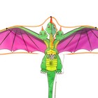 Воздушный змей «Дракон» с леской - фото 9341350