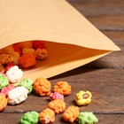 Пакет Zip - lock Крафт с прямоугольным окном, плоский, 18×30 см - Фото 4