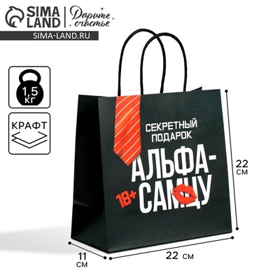 Пакет подарочный крафтовый, упаковка, «Альфа», 22×22×11 см