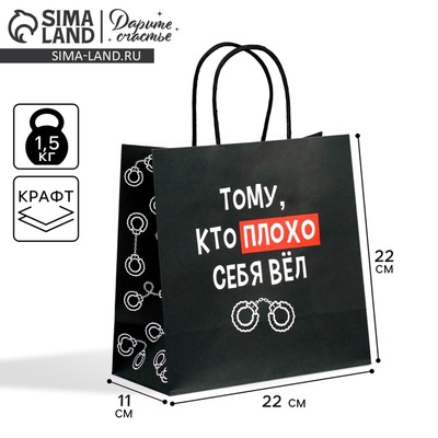 Пакет подарочный крафтовый, упаковка, «Плохо», 22×22×11 см