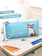 Пенал школьный на молнии Calligrata «Котик», 1 отделение, плоский, МИКС - Фото 2