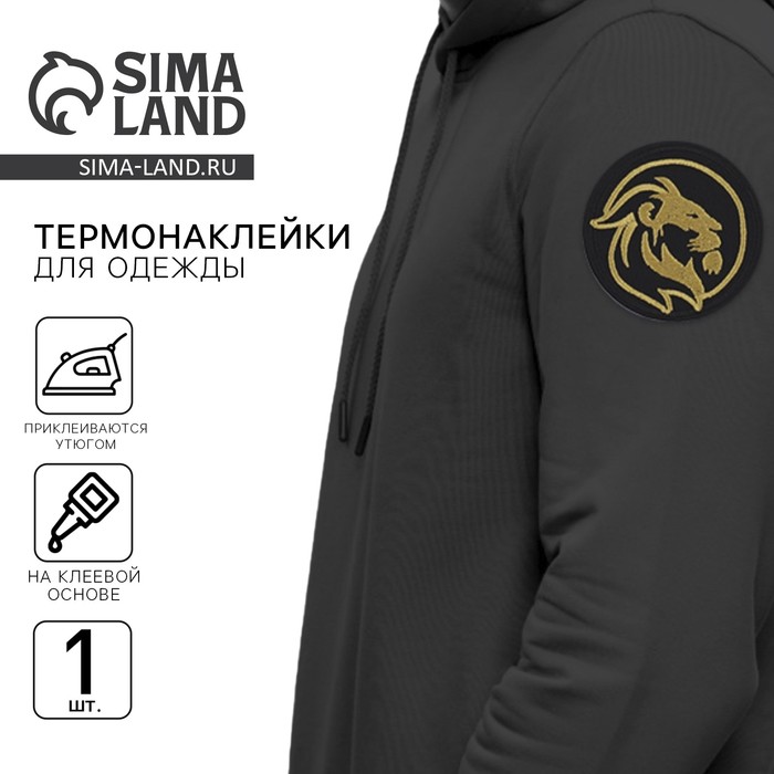 

Термонаклейка на одежду «Лев», диам. 6 см