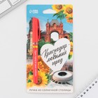 Ручка шариковая «Краснодар», 14,1 х 1,2 см - фото 321379305