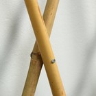 Ограждение декоративное, 90 × 60 см, бамбук, Greengo - Фото 3