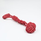 Игрушка канатная плетеная с ручкой, до 38 см, до 180 г, шар 7 см, красная 9210971 - фото 16538345