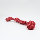 Игрушка канатная плетеная с ручкой, до 38 см, до 180 г, шар 7 см, красная 9210971 - фото 16538346