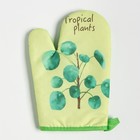 Кухонный набор 2 предмета Доляна "Tropical" цвет зелёный: прихватка 17х17 см, варежка 25х16 см, 100% п/э 9241955