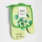 Кухонный набор 2 предмета Доляна "Tropical" цвет зелёный: прихватка 17х17 см, варежка 25х16 см, 100% п/э 9241955