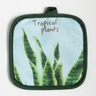 Кухонный набор 2 предмета Доляна "Tropical" цвет голубой: прихватка 17х17 см, варежка 25х16 см, 100% п/э 9241958