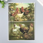 Декупажная карта "Курицы, петухи, цыплята" плотность 45 г/м2 формат А4 - фото 10252881
