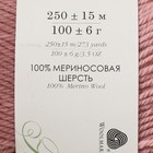 Пряжа "Элегантная" 100% мериносовая шерсть 250м/100гр (1225-Пыльная роза) - Фото 4