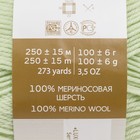 Пряжа "Элегантная" 100% мериносовая шерсть 250м/100гр (41-Салатовый) - Фото 4