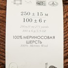 Пряжа для вязания спицами, крючком «Пехорский текстиль. Элегантная»,100% мериносовая шерсть, 250 м/100 г, (416 св. коричневый) - фото 22019495