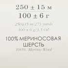 Пряжа для вязания спицами, крючком «Пехорский текстиль. Элегантная», 100% мериносовая шерсть, 250 м/100 г, (434 зелёный) - Фото 4