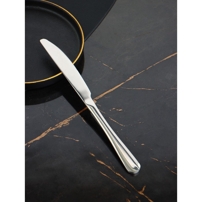 Ножи столовые из нержавеющей стали Доляна, длина 23 см, толщина рабочей части 2,2 мм, толщина ручки 5 мм, 410 сталь, 3 шт - фото 1909091201