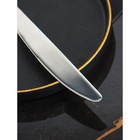 Ножи столовые из нержавеющей стали Доляна, длина 23 см, толщина рабочей части 2,2 мм, толщина ручки 5 мм, 410 сталь, 3 шт - Фото 4