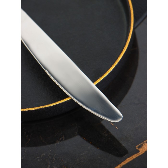 Ножи столовые из нержавеющей стали Доляна, длина 23 см, толщина рабочей части 2,2 мм, толщина ручки 5 мм, 410 сталь, 3 шт - фото 1909091202