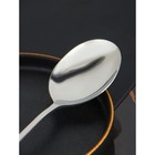 Ложка гарнирная из нержавеющей стали Доляна, h=22 см, толщина 2.2 мм, 410 сталь - Фото 3