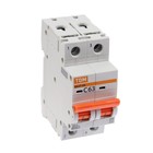 Выключатель автоматический TDM ВА47-60, 2п, 63 А, 6 кА, C, SQ0223-0099 9483660 - фото 14150338